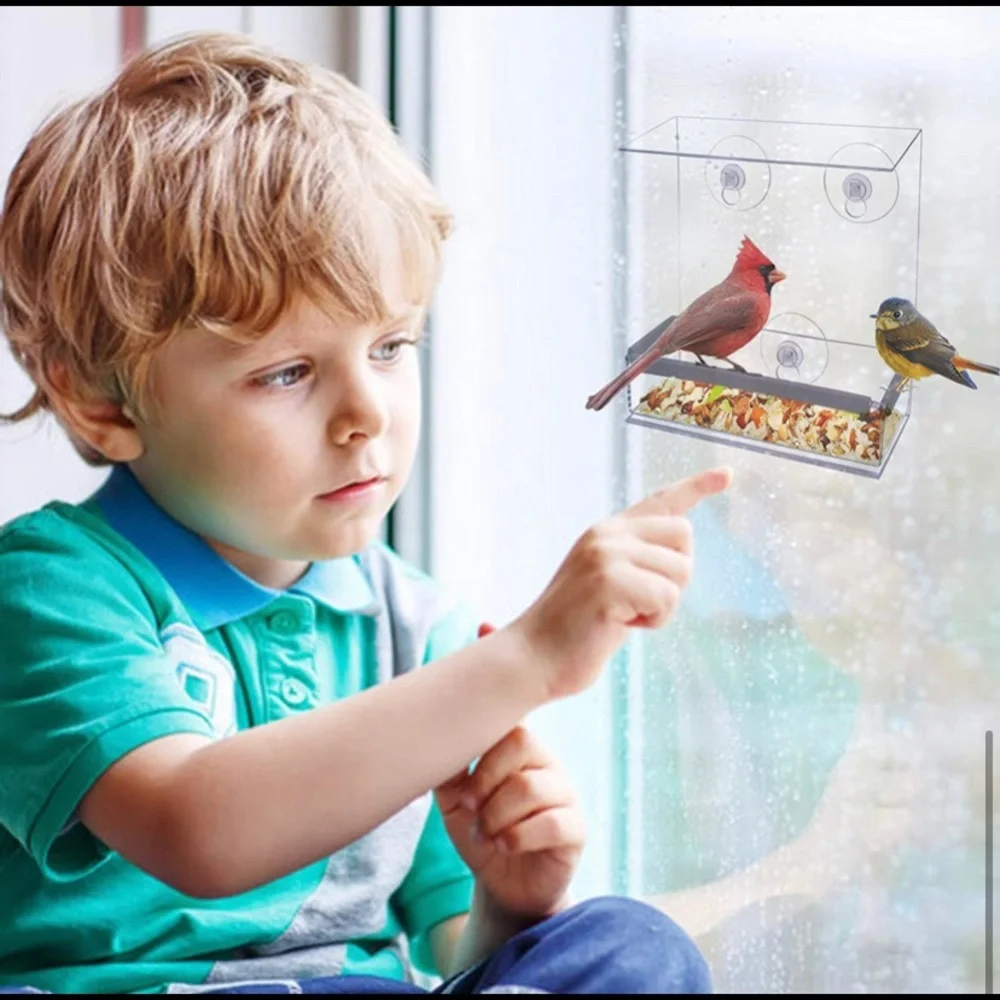 Window Bird Feeder With 5lbs Of Birdseed!